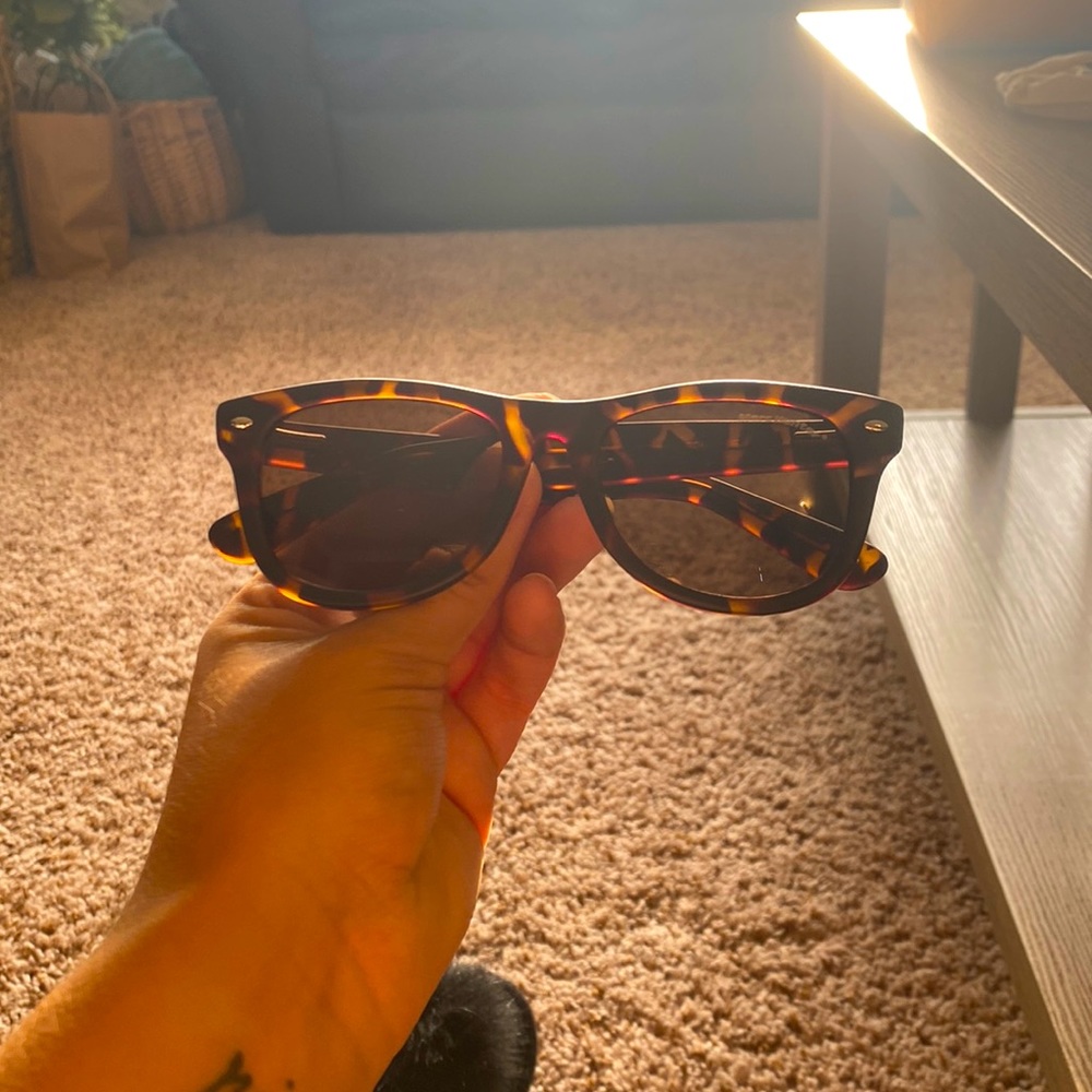 Marc Hunter Brown and Black Sunglasses
